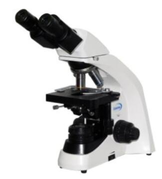 彼 高级透反射显微镜 BM-SG12BD(明暗场)BM-SG12BD(明暗场) 