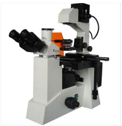 彼爱姆 电脑倒置荧光显微镜 BM-39YDBM-39YD 