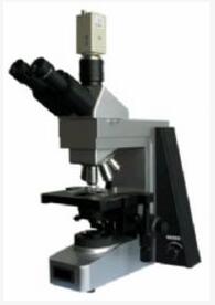彼爱姆 高级相衬生物显微镜 BM-SG10PHBM-SG10PH 