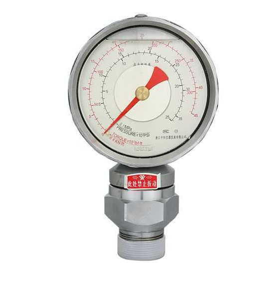 立管压力系统 CMG-100CMG-100 