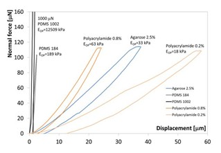 生物纳米压痕仪 Bio indenter