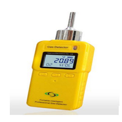 泵吸式甲硫醇检测仪（硫氢甲烷） GT901-CH4S