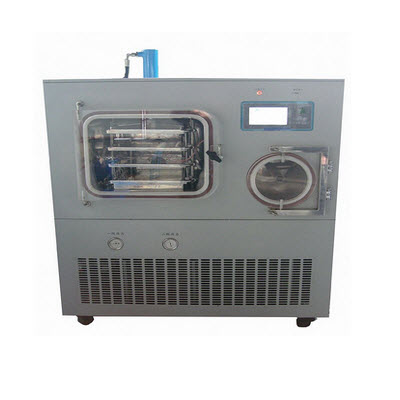 原位冻干机(硅油加热)普通型 YB-FD-100L