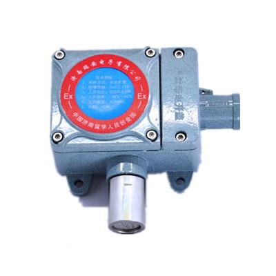 气体探测器 RBT-6000