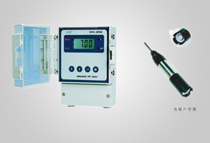 工业在线溶解氧仪 DOG-2092B型