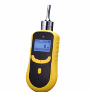 泵吸式氢气检测仪  SKY2000-H2