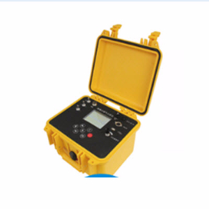 便携式多气体检测仪 DL-2000B型