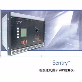 在线硅氧烷和VOC检测仪 Sentry?