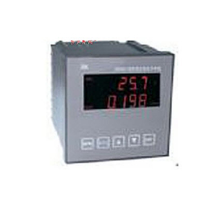 在线酸度计 PHG9803