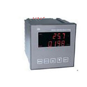 在线酸度计 PHG9804