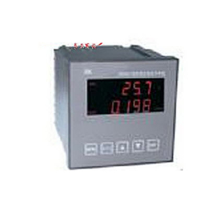 在线酸度计 PHG9802