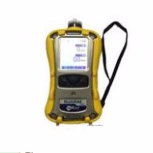 复合式气体检测仪  PGM-6248
