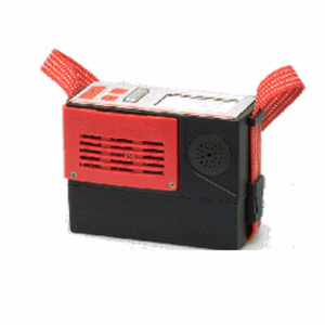 复合气体检测仪 Multiwarn II