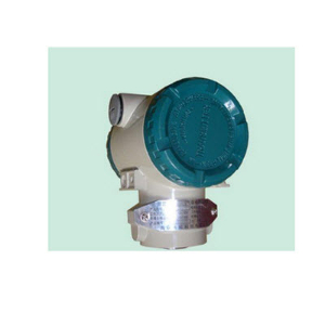 硫化氢检测仪 DW20-2-H2S