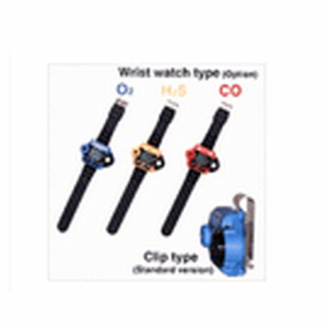 硫化氢浓度检测仪 GW-2H