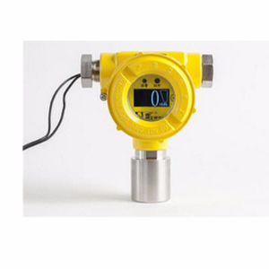 现场显示可燃气体检测仪 Anr