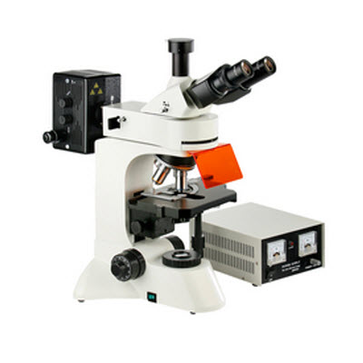 落射荧光显微镜 YL3201