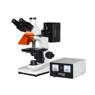 落射荧光显微镜 YL3001