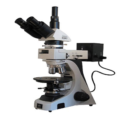 偏光显微镜 59XD