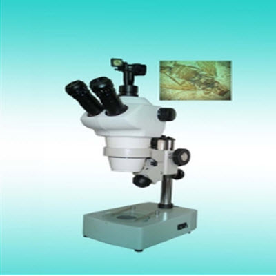 立体显微镜 YYL-580