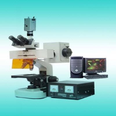 荧光显微镜 YYF-200