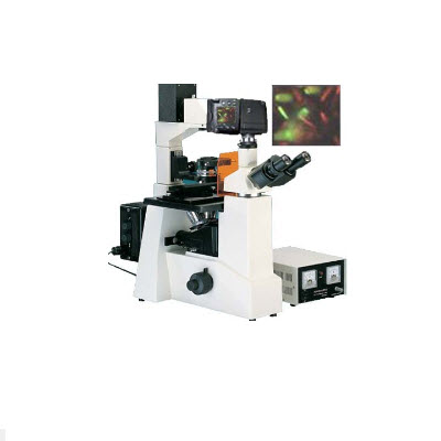 倒置荧光显微镜  CG-XDS-500C