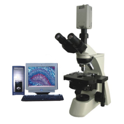 高档型相差显微镜 BPH-300系列