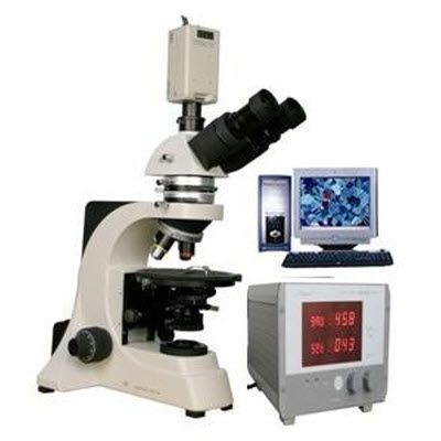 电脑型透反射热台显微镜 XPR-500E