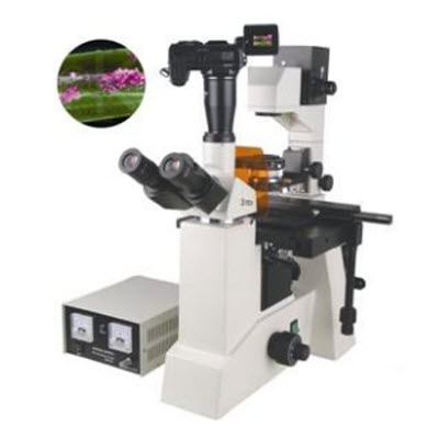 研究型荧光显微镜 BFM-700