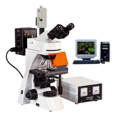 四波段无限远荧光显微镜 BFM-660