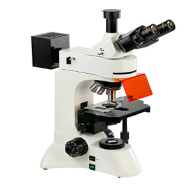 正置LED荧光显微镜 BFM-500