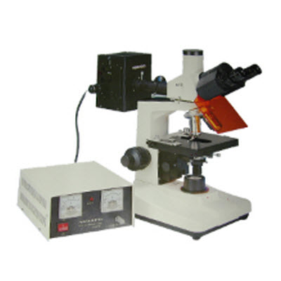 双目正置荧光显微镜 BFM-200