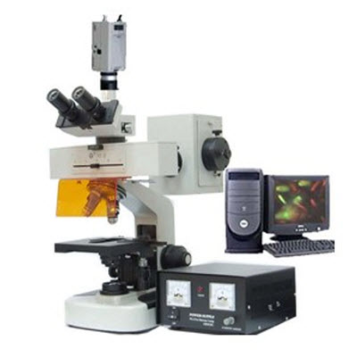 普通型荧光显微镜 BFM-100
