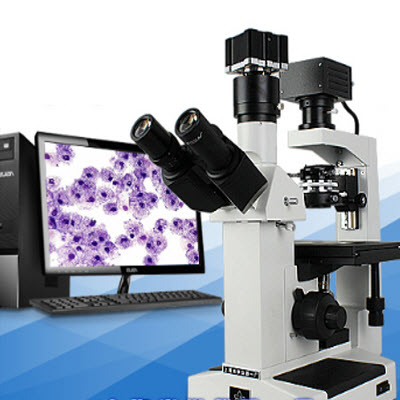 倒置生物显微镜 37XB-PC
