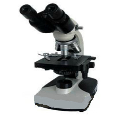 简易双目偏光显微镜 XSP-11-2