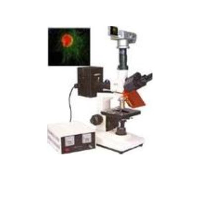 荧光显微镜   HAD-DFM-30D