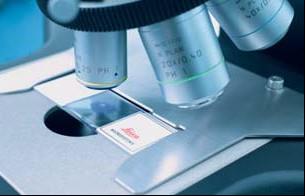 生物显微镜 DM1000/DM2000/DM2500/DM3000