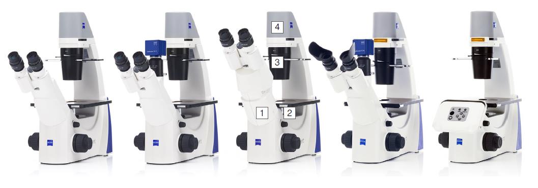 Primovert灵活多样的模块选择