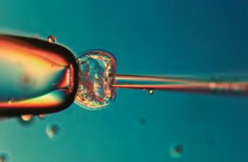 研究级倒置显微镜 DMi8