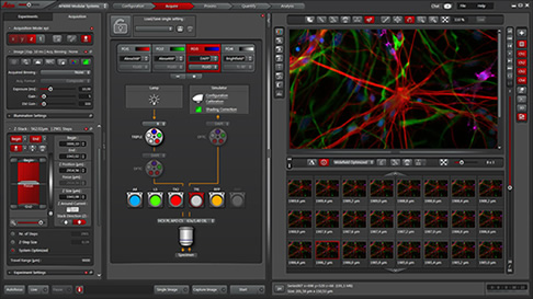 研究级倒置显微镜 DMi8