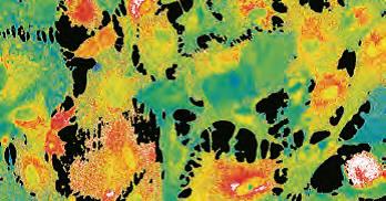 研究级倒置显微镜 DMi8