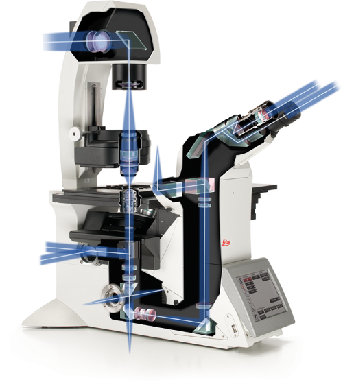 研究级倒置显微镜 DMi8