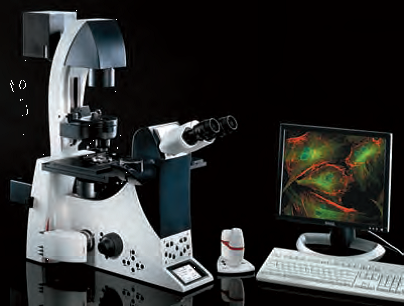 研究级倒置显微镜 DMi4000/DMi6000 B