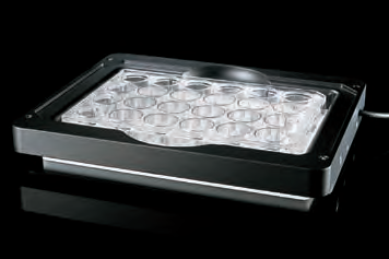 研究级倒置显微镜 DMi4000/DMi6000 B