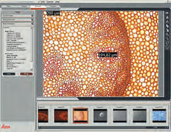 研究级倒置显微镜 DMi4000/DMi6000 B