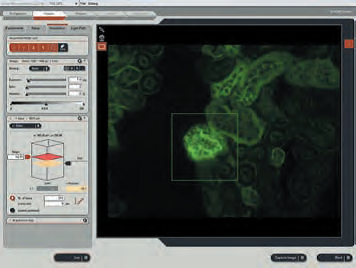 研究级倒置显微镜 DMi4000/DMi6000 B