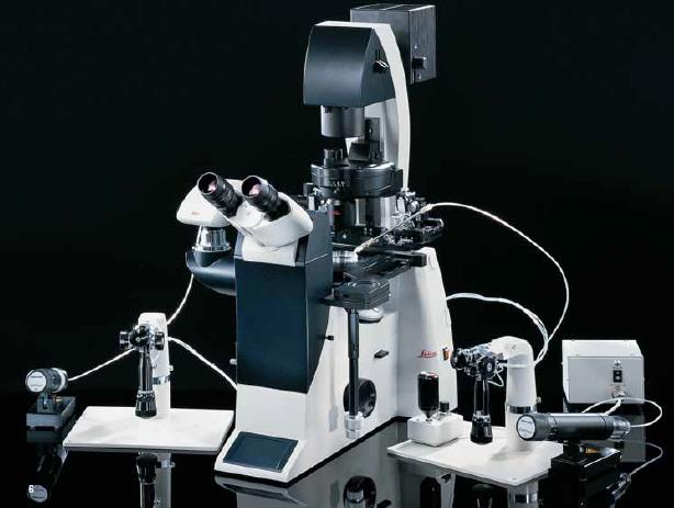 研究级倒置显微镜 DMi3000 B