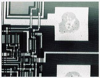半导体/FPD检查显微镜 MX61L/MX61