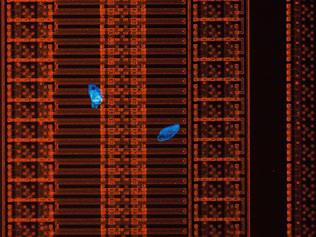 半导体/FPD检查显微镜 MX61L/MX61