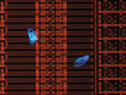 半导体/FPD检查显微镜 MX51